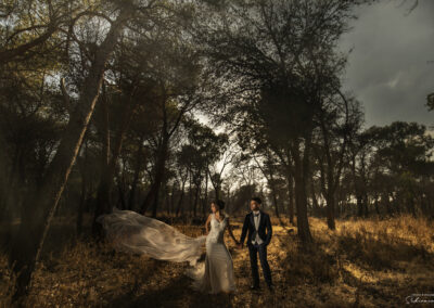 Esterni matrimonio in mezzo al bosco Ivan Schirmenti